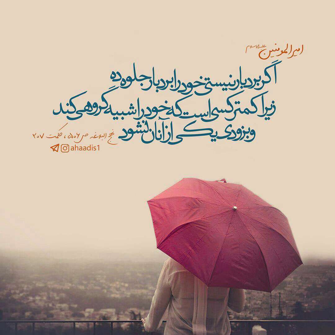 حدیثی از امام علی در مورد بردباری